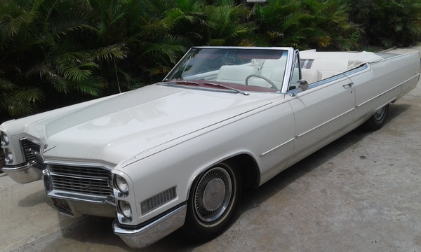 �������, ���������� � �������� ����