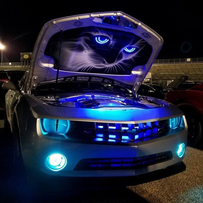 �������, ���������� � �������� ����