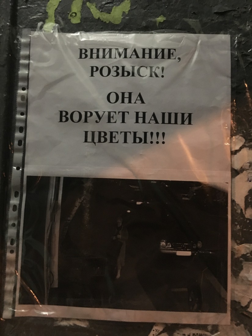 �������, ���������� � �������� ����
