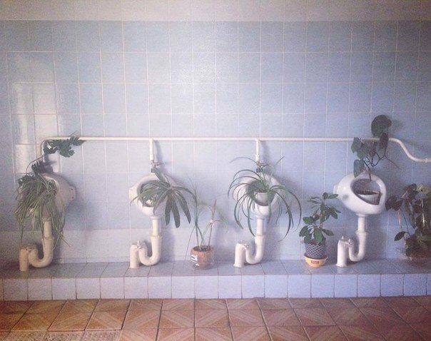 �������, ���������� � �������� ����
