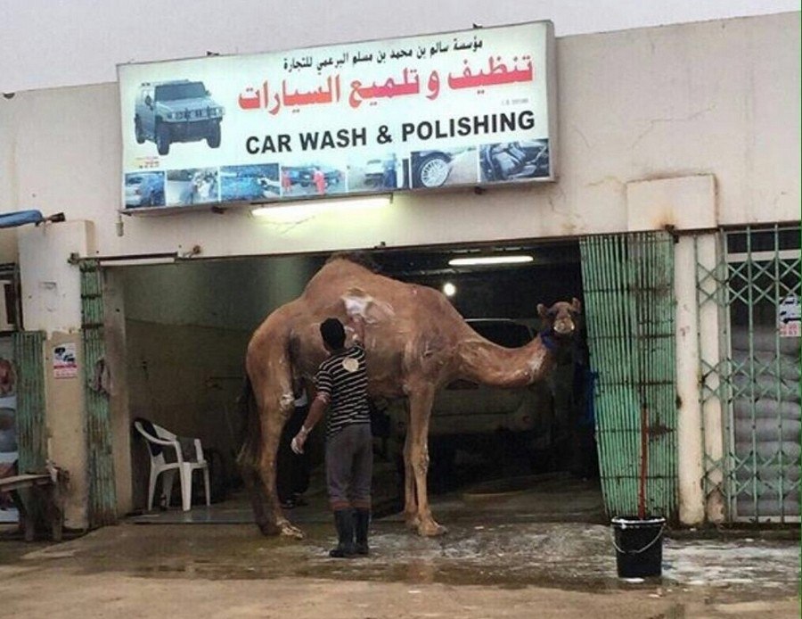 �������, ���������� � �������� ����