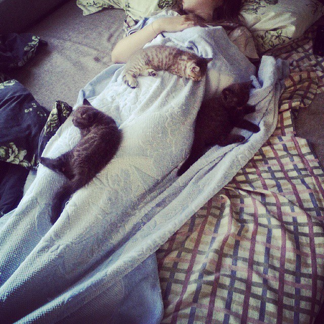 �������, ���������� � �������� ����