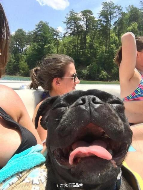 �������, ���������� � �������� ����