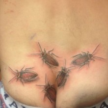 �������, ���������� � �������� ����
