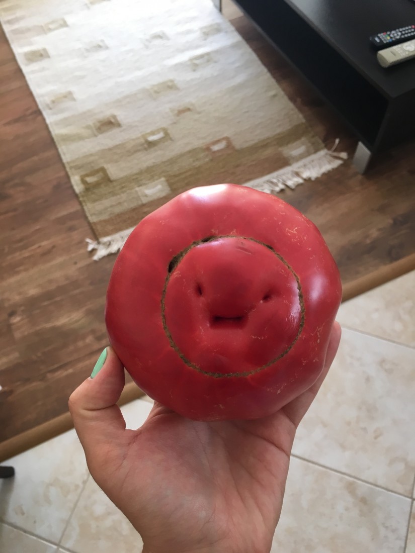 �������, ���������� � �������� ����