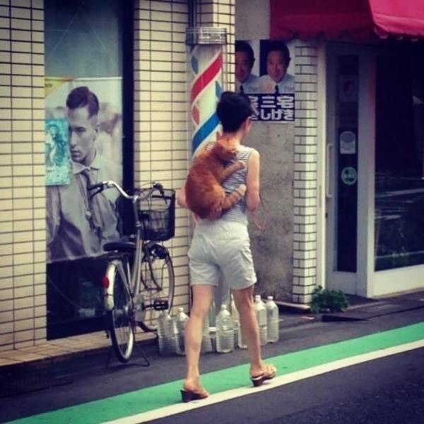 �������, ���������� � �������� ����