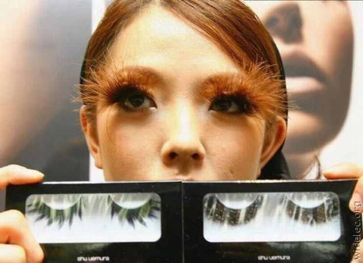 �������, ���������� � �������� ����