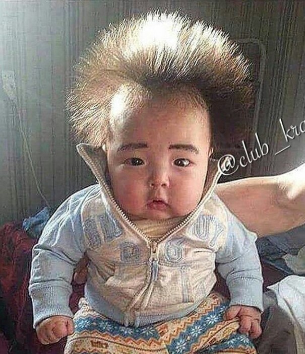 �������, ���������� � �������� ����