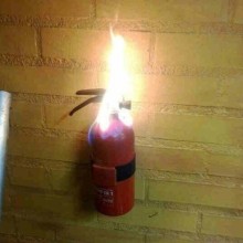 �������, ���������� � �������� ����
