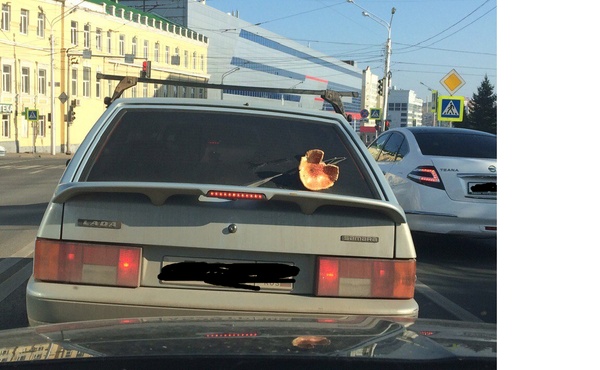 �������, ���������� � �������� ����