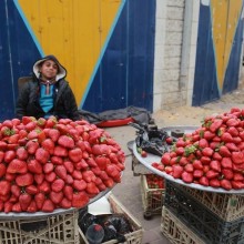 �������, ���������� � �������� ����