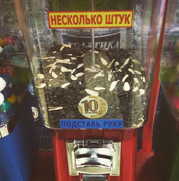 �������, ���������� � �������� ����