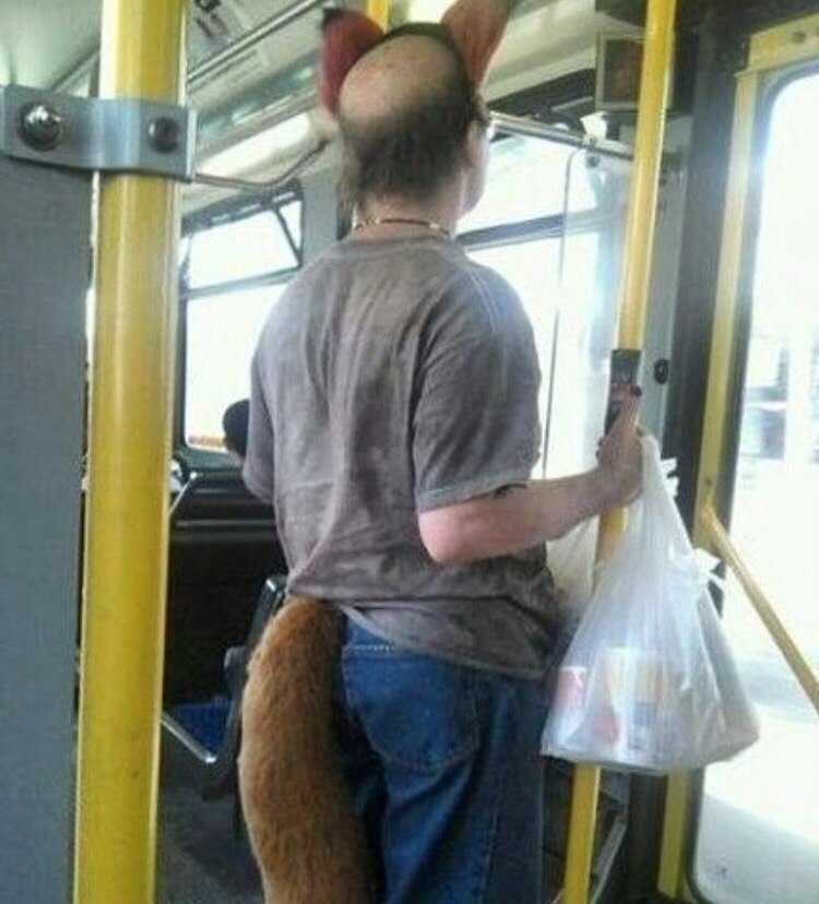 �������, ���������� � �������� ����