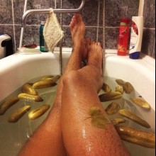 �������, ���������� � �������� ����