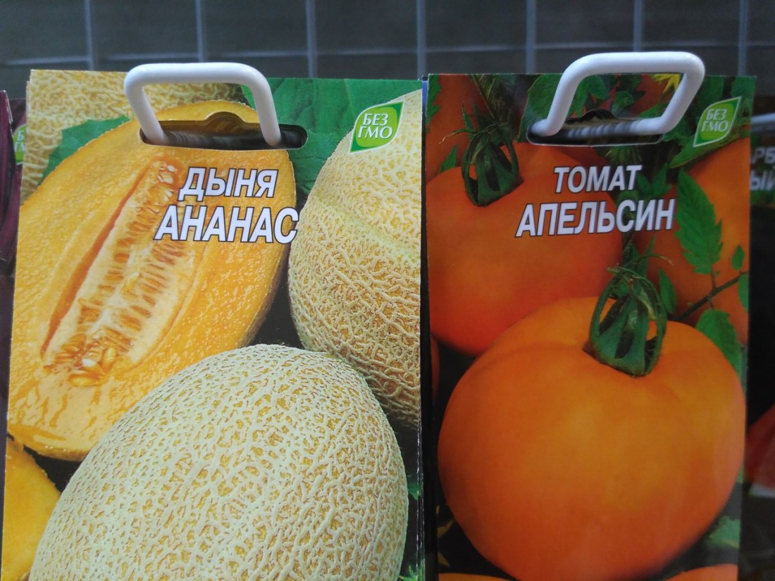 �������, ���������� � �������� ����
