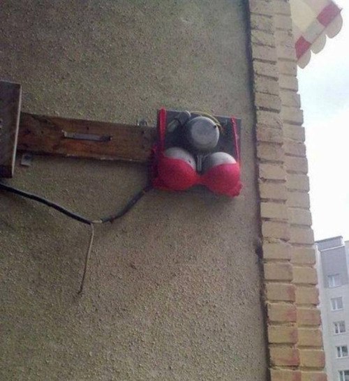 �������, ���������� � �������� ����