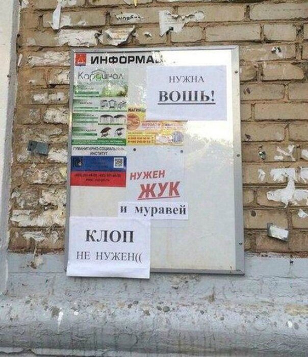 �������, ���������� � �������� ����