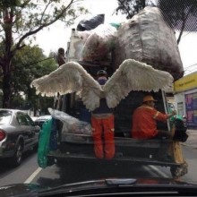 �������, ���������� � �������� ����