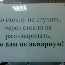 �������, ���������� � �������� ����