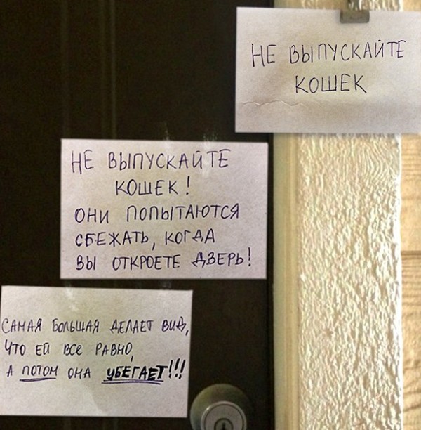 �������, ���������� � �������� ����