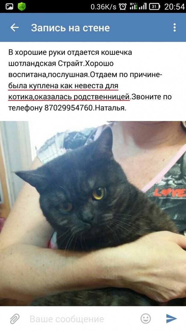 �������, ���������� � �������� ����