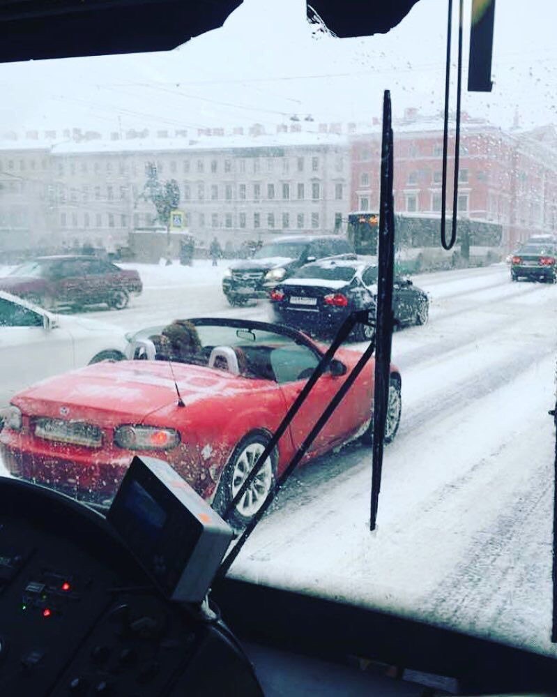 �������, ���������� � �������� ����