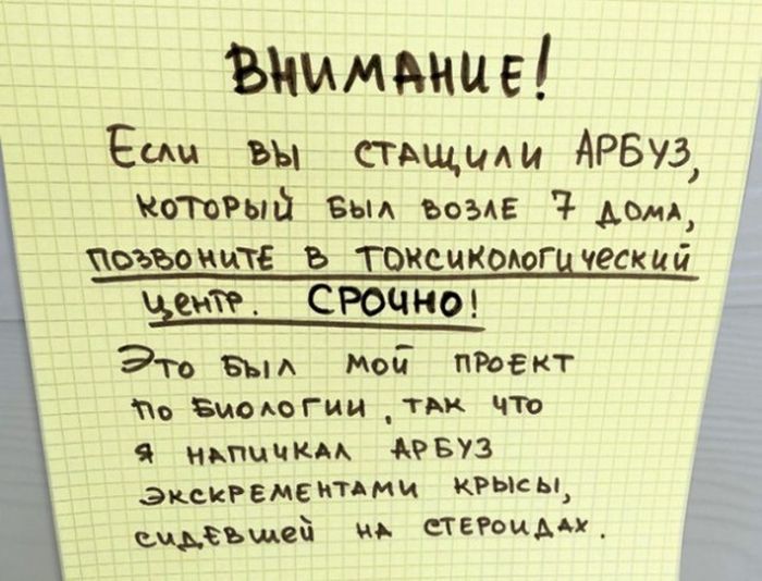 �������, ���������� � �������� ����