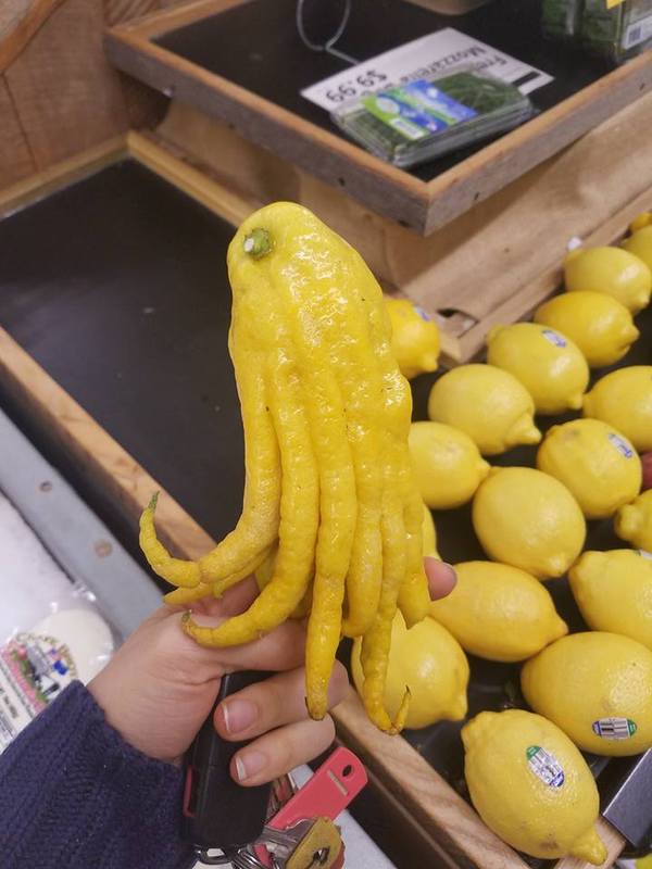 �������, ���������� � �������� ����
