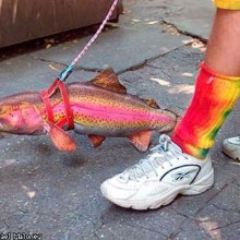 �������, ���������� � �������� ����