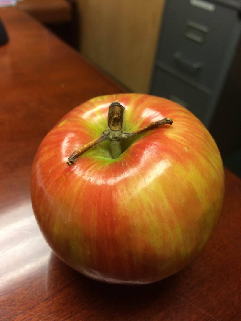 �������, ���������� � �������� ����