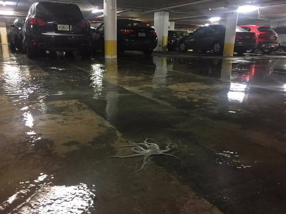 �������, ���������� � �������� ����
