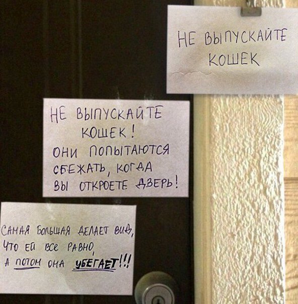 �������, ���������� � �������� ����