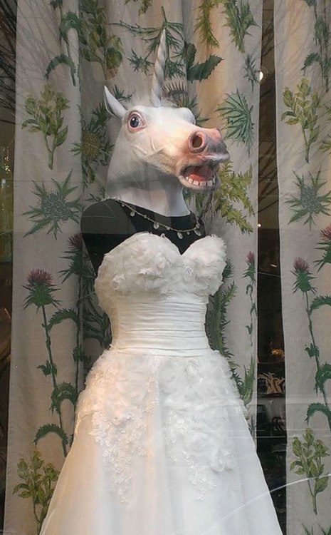 �������, ���������� � �������� ����