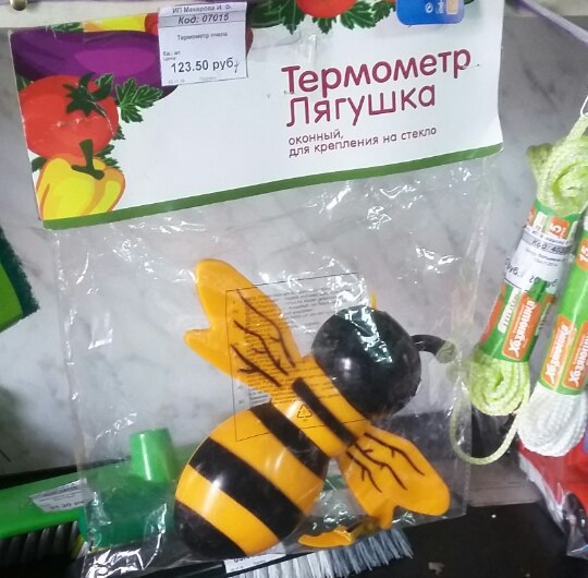 �������, ���������� � �������� ����