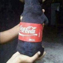 �������, ���������� � �������� ����