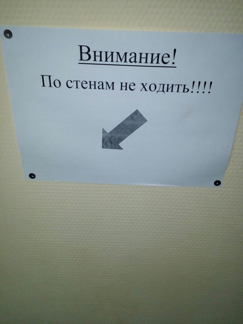 �������, ���������� � �������� ����