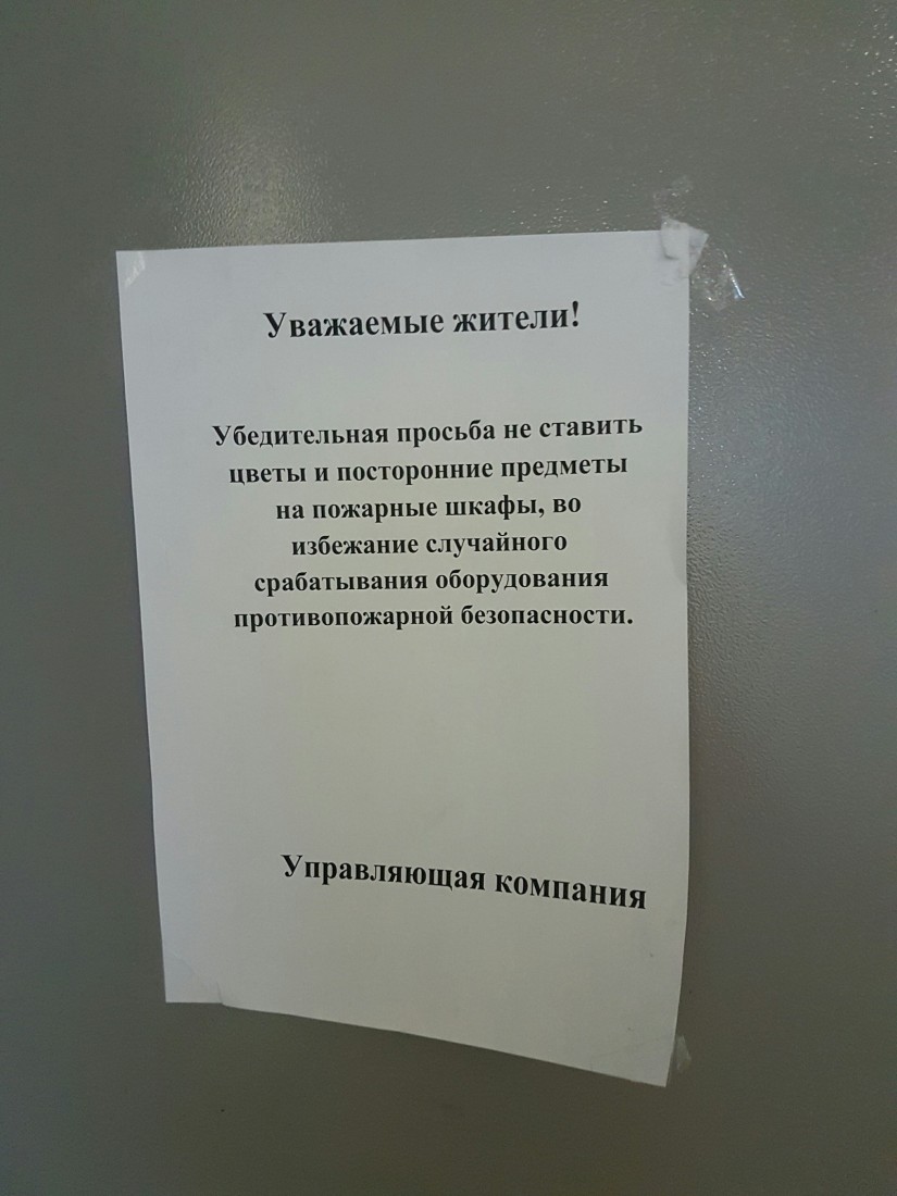 �������, ���������� � �������� ����