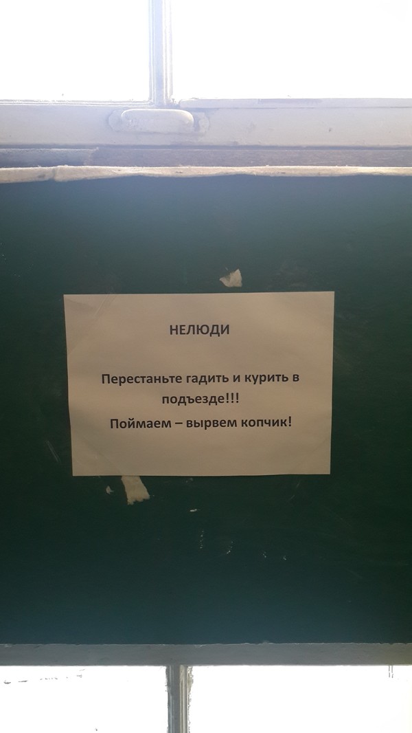 �������, ���������� � �������� ����