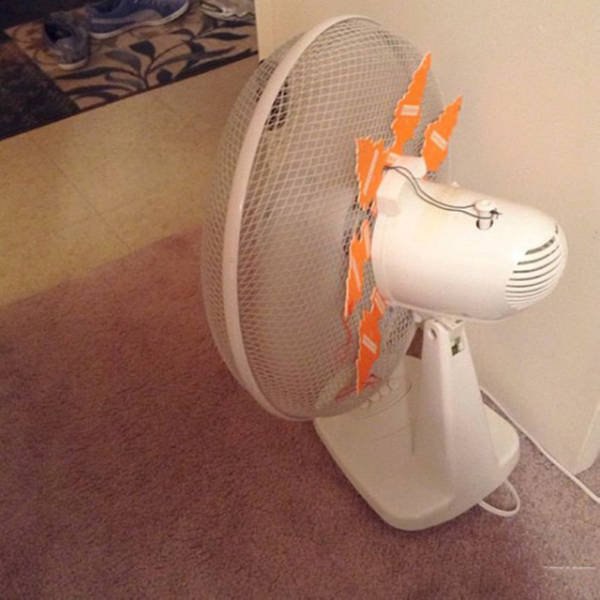 �������, ���������� � �������� ����