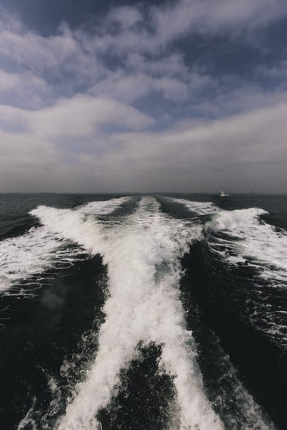 �������, ���������� � �������� ����