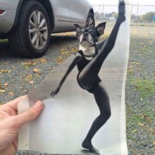�������, ���������� � �������� ����