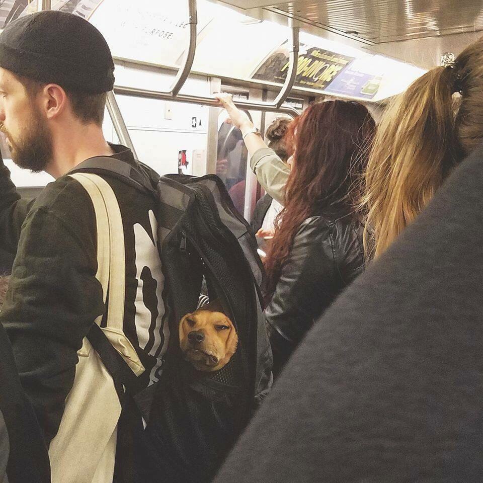 �������, ���������� � �������� ����