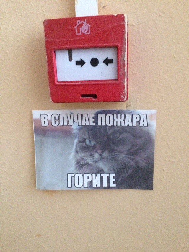 �������, ���������� � �������� ����