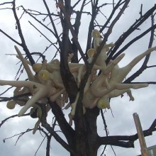 �������, ���������� � �������� ����