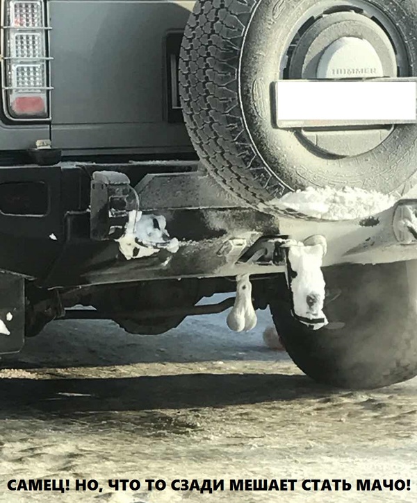 �������, ���������� � �������� ����