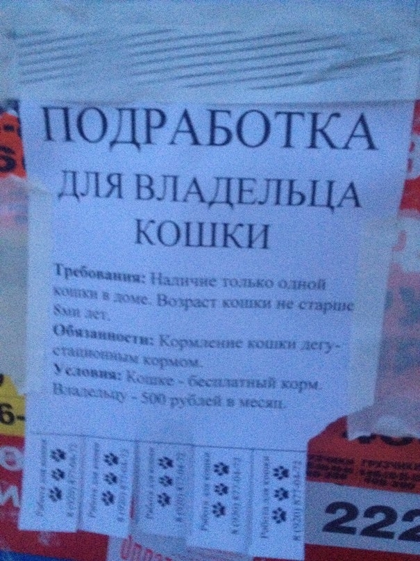 �������, ���������� � �������� ����