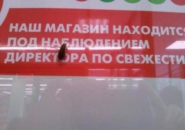 �������, ���������� � �������� ����