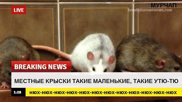 �������, ���������� � �������� ����
