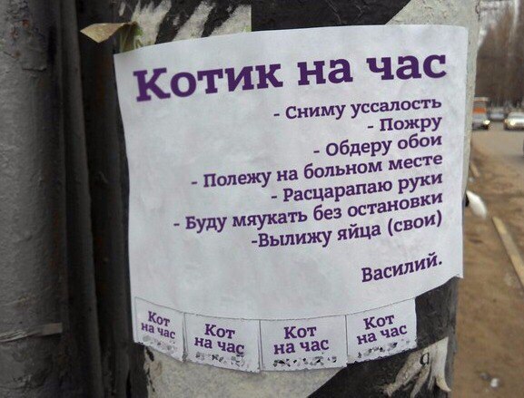 �������, ���������� � �������� ����