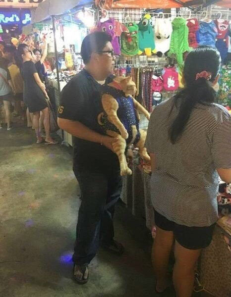 �������, ���������� � �������� ����